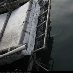 渡船頭